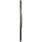 Ekena Millwork Bradford Ceiling Medallion (Fits Canopies up to 6 5/8"), Hnd-Painted Painted Turtle, 32 5/8"OD x 2"P CM32BRPTF - alternate 2